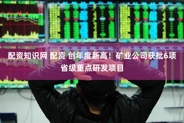 配资知识网 配资 创年度新高！矿业公司获批6项省级重点研发项目