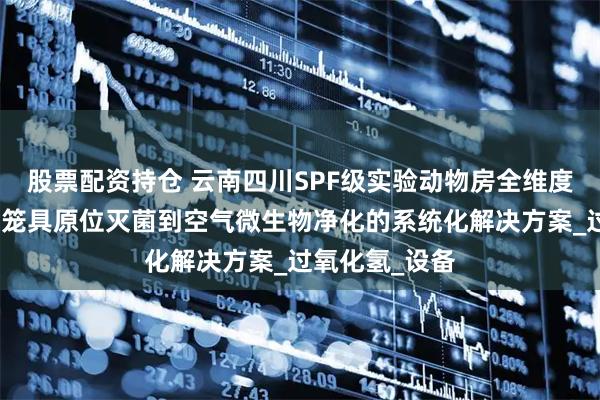 股票配资持仓 云南四川SPF级实验动物房全维度消毒策略：从笼具原位灭菌到空气微生物净化的系统化解决方案_过氧化氢_设备