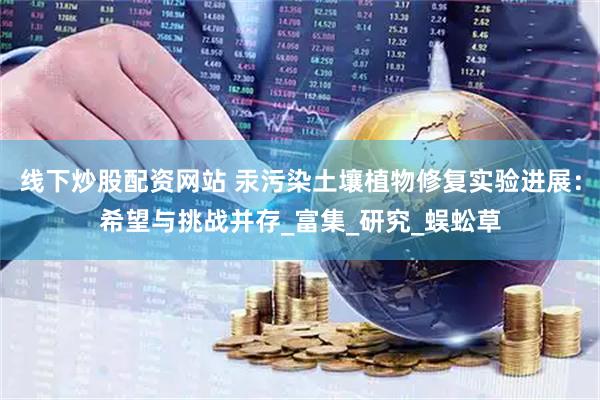 线下炒股配资网站 汞污染土壤植物修复实验进展：希望与挑战并存_富集_研究_蜈蚣草